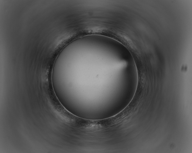 X0000091660543200708231308