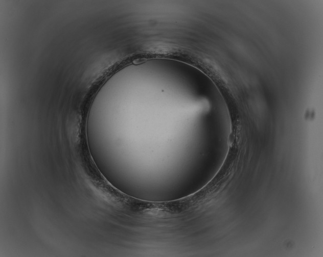 X0000091660544200708231308