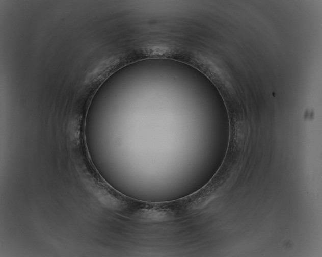 X0000091660545200708231308