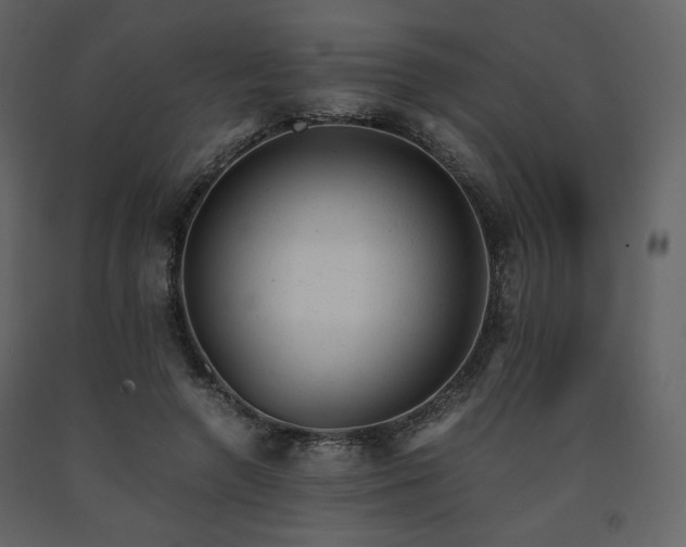 X0000091660546200708231308