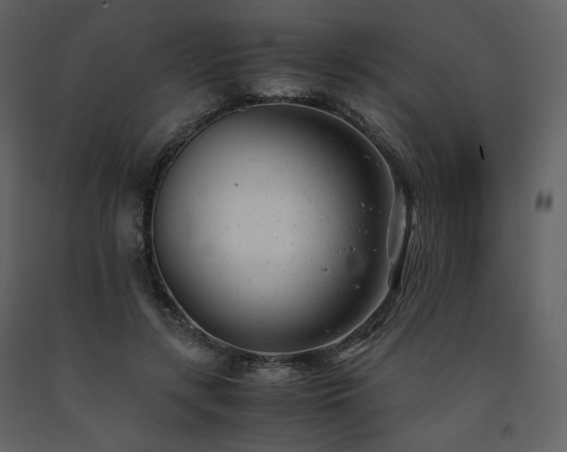 X0000091660547200708231308