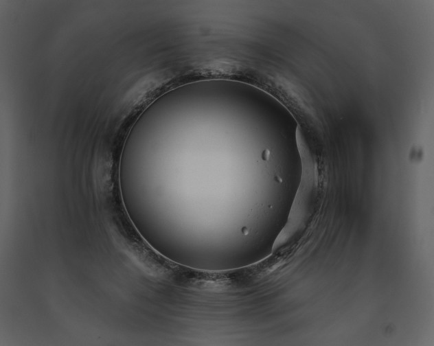 X0000091660548200708231308