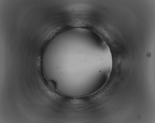 X0000091660549200708231308