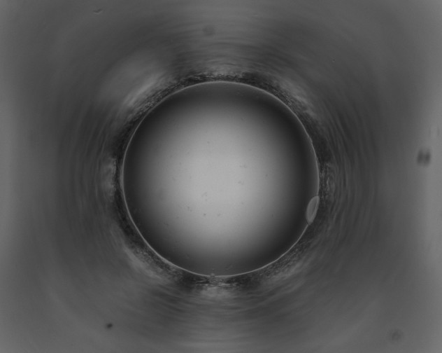 X0000091660550200708231308