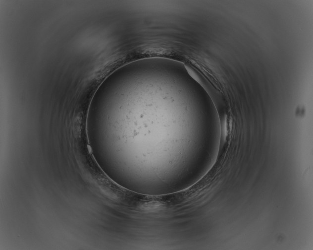 X0000091660551200708231308