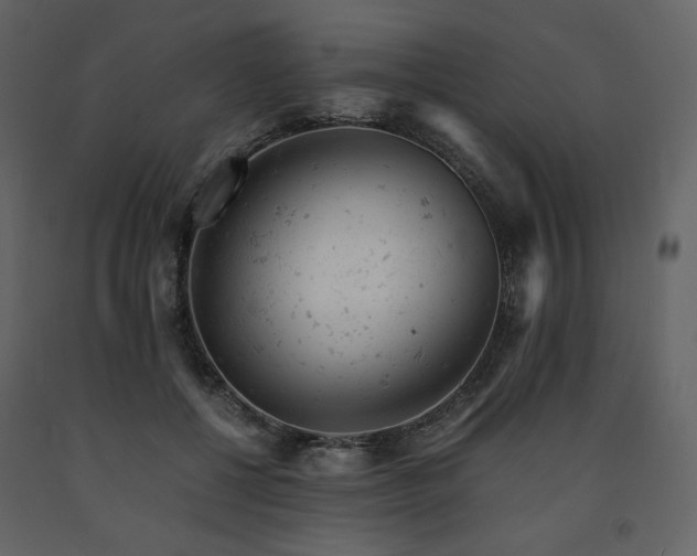 X0000091660552200708231308