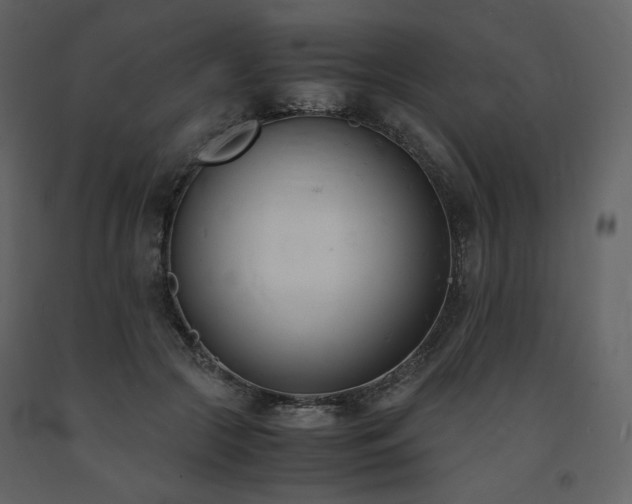 X0000091660553200708231308