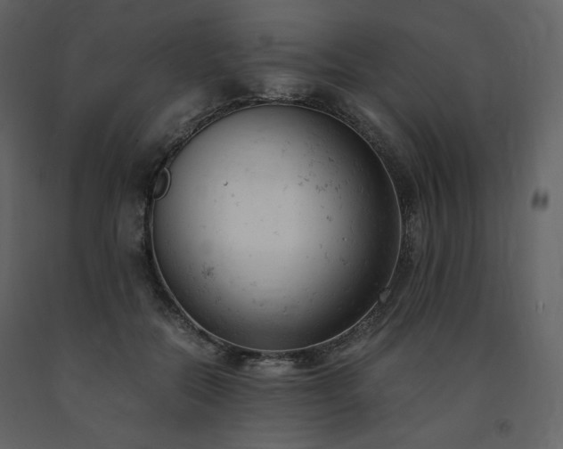 X0000091660554200708231308