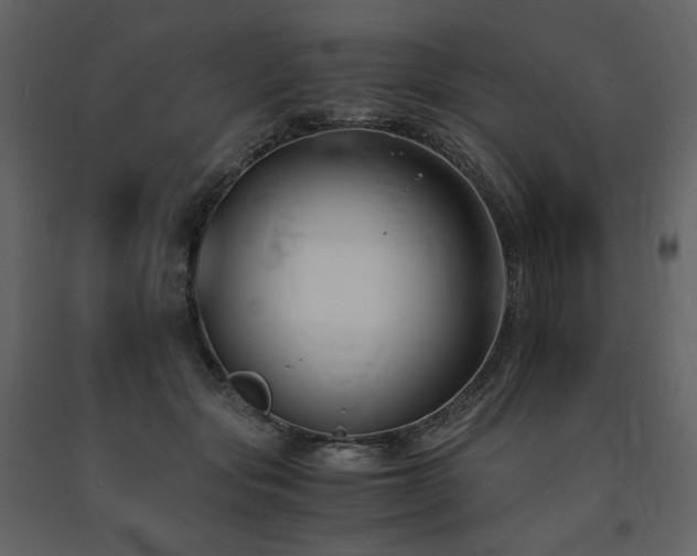 X0000091660557200708231308