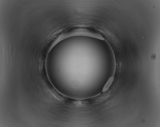 X0000091660558200708231308