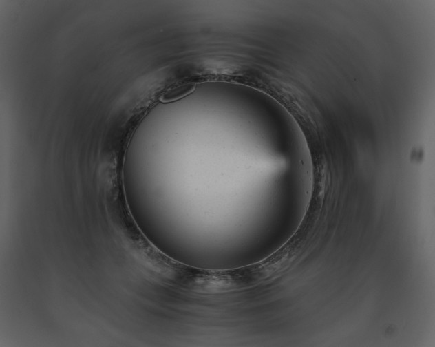 X0000091660559200708231308