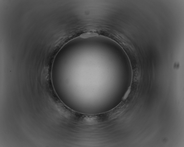 X0000091660560200708231308