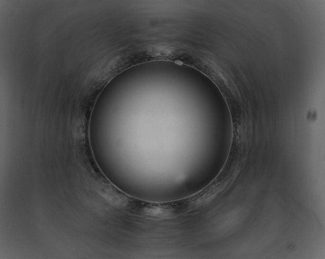 X0000091660561200708231308