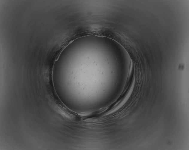 X0000091660562200708231308