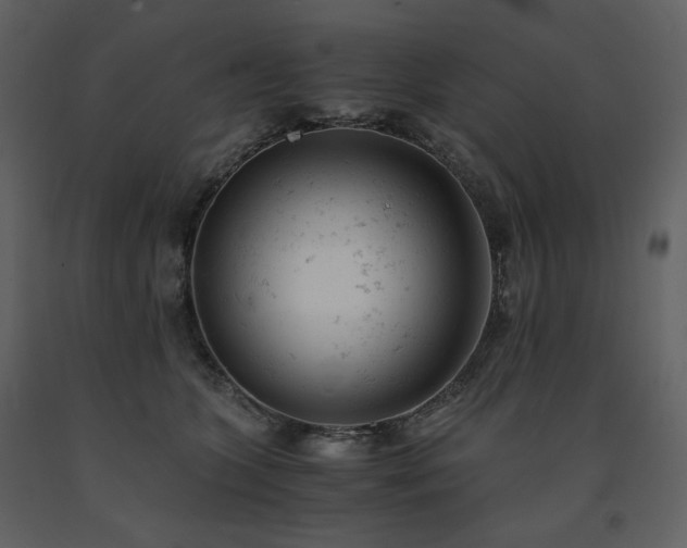 X0000091660563200708231308