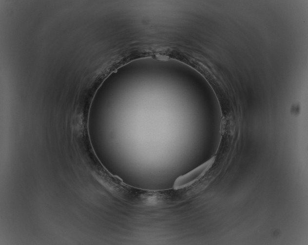 X0000091660564200708231308