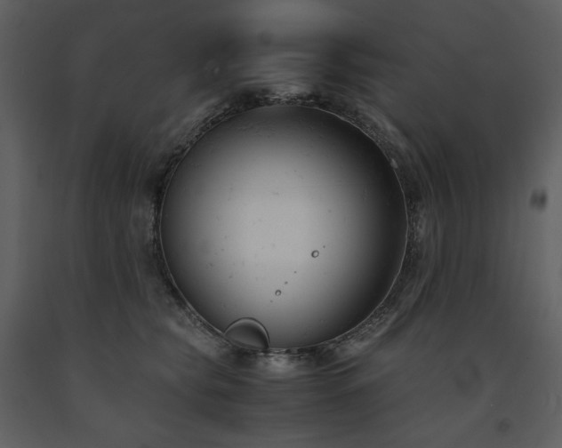 X0000091660565200708231308