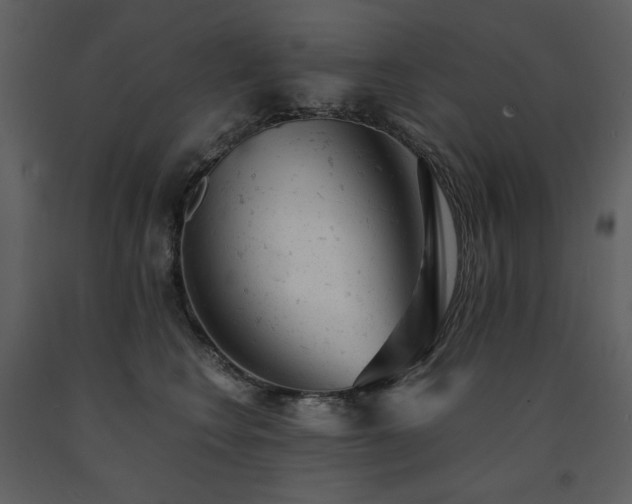 X0000091660566200708231308