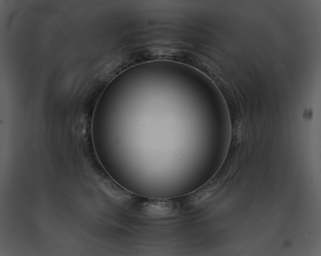 X0000091660567200708231308