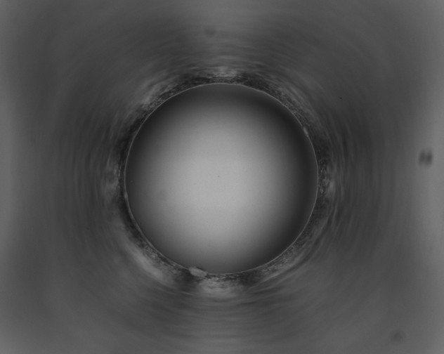 X0000091660568200708231308
