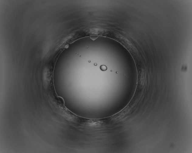 X0000091660569200708231308