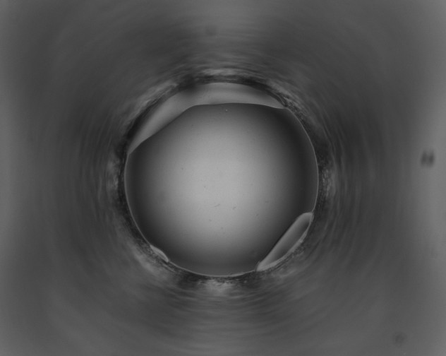 X0000091660570200708231309