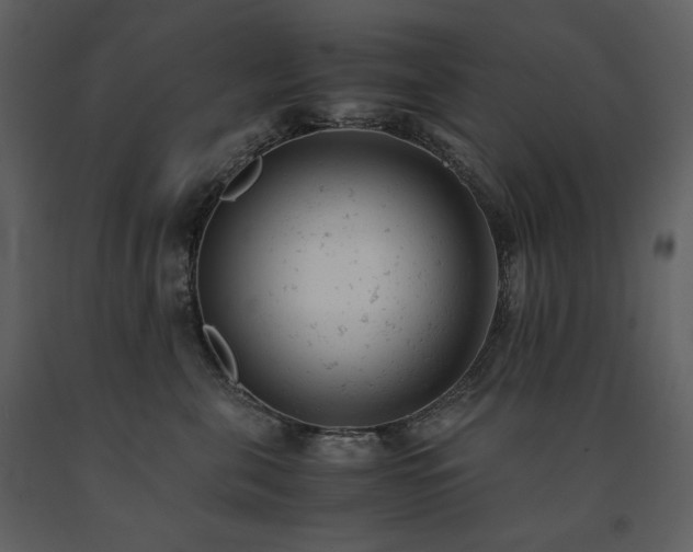 X0000091660571200708231309