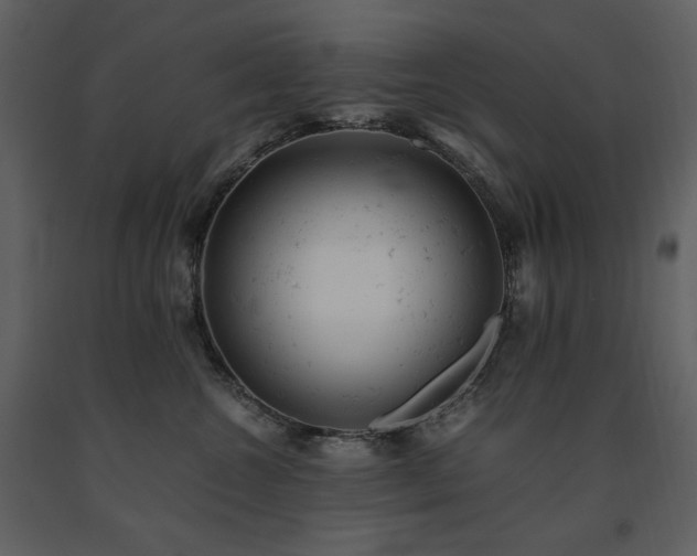 X0000091660572200708231309