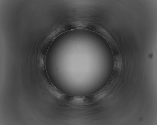 X0000091660573200708231309