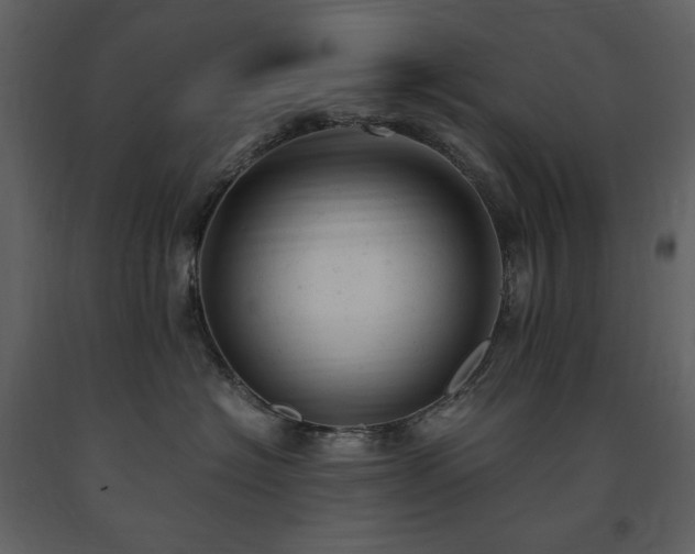 X0000091660574200708231309