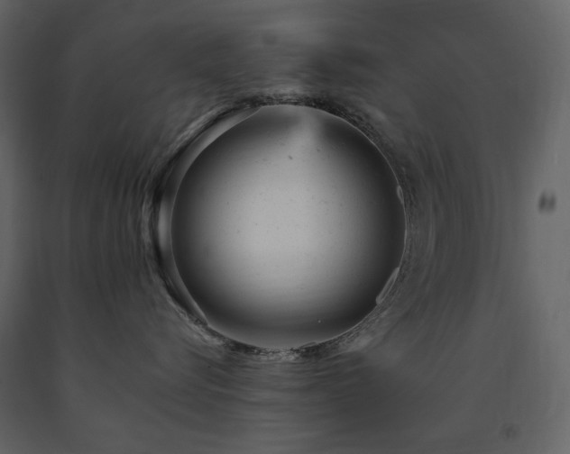 X0000091660576200708231309