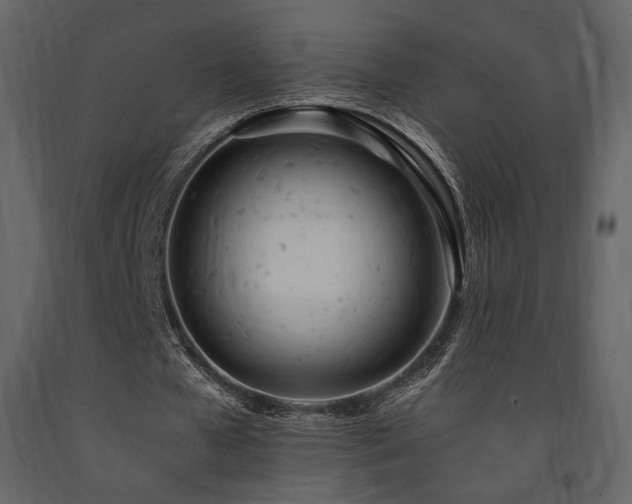 X0000091660577200708231308