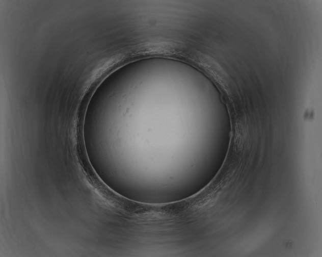 X0000091660578200708231308