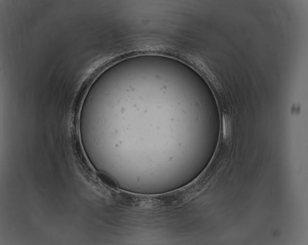 X0000091660579200708231308
