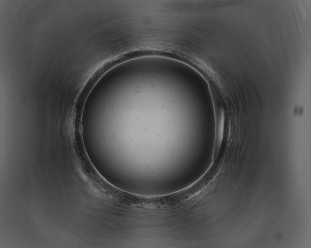 X0000091660580200708231308