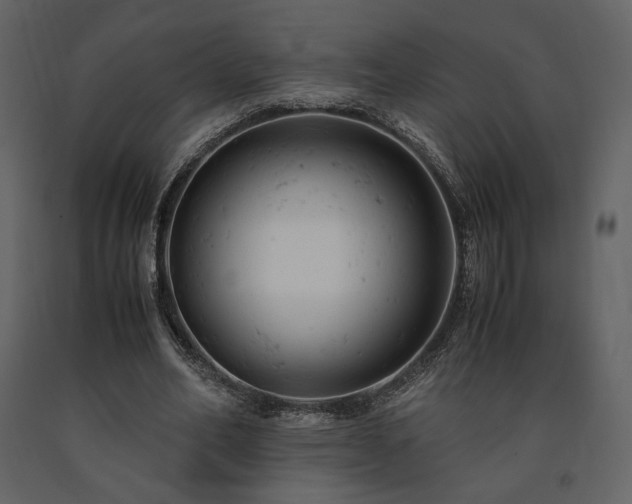 X0000091660582200708231308