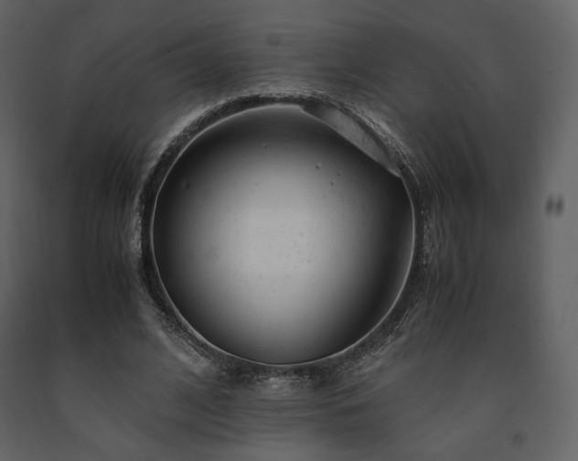 X0000091660584200708231308