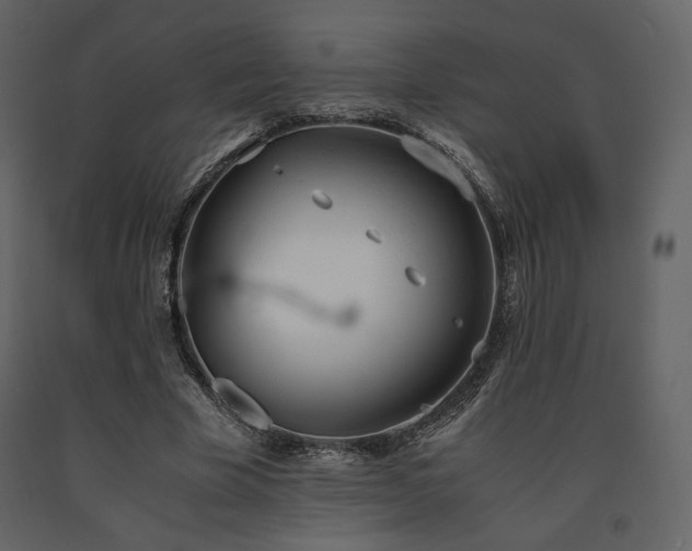 X0000091660585200708231308