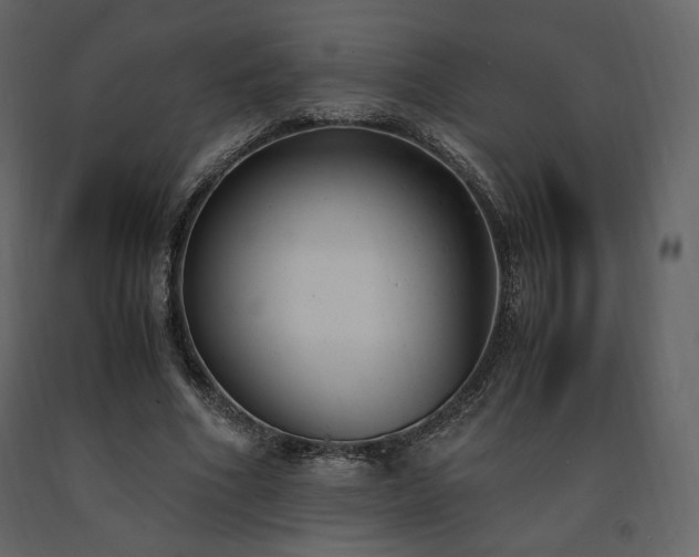 X0000091660586200708231308