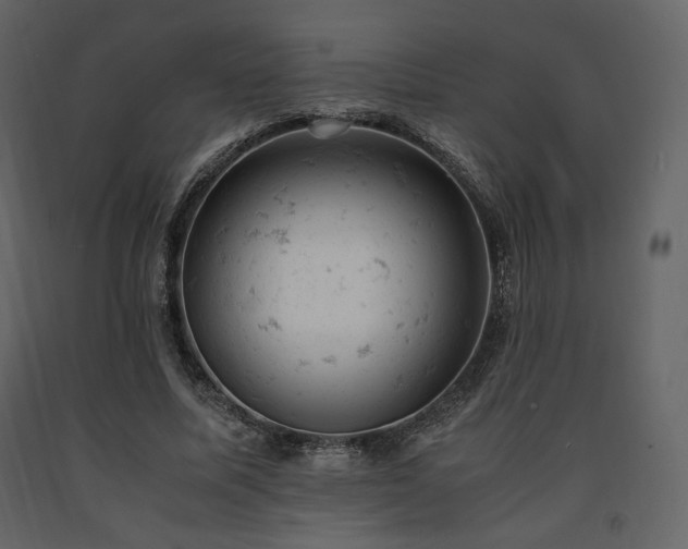 X0000091660587200708231308