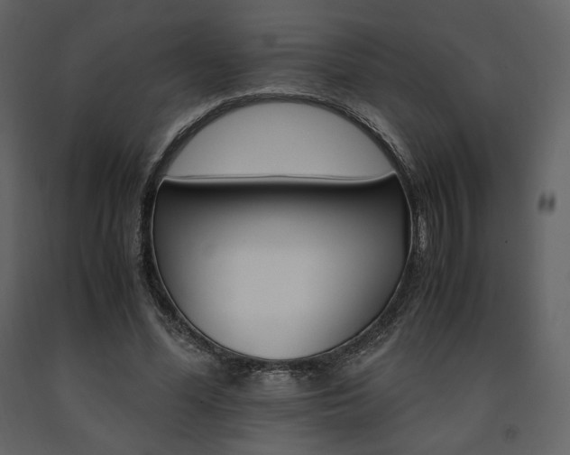 X0000091660588200708231308