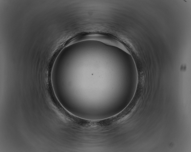 X0000091660589200708231308