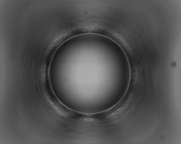 X0000091660590200708231308