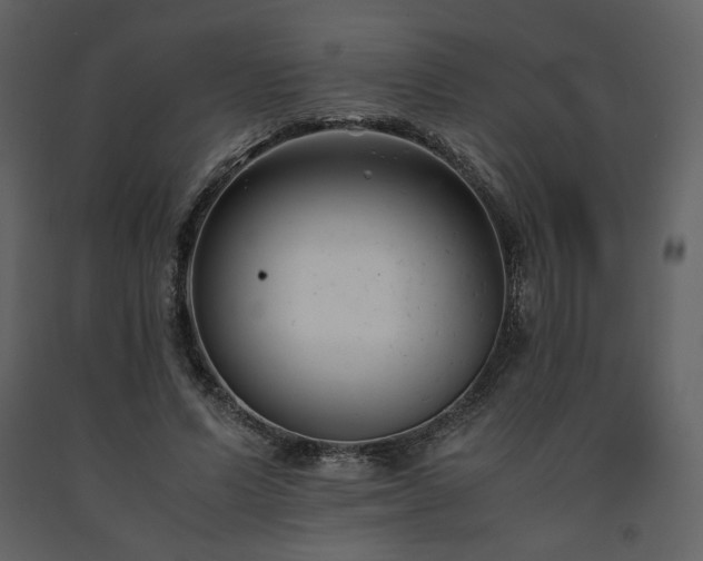 X0000091660591200708231308
