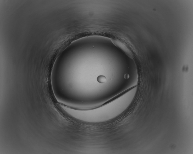 X0000091660593200708231308