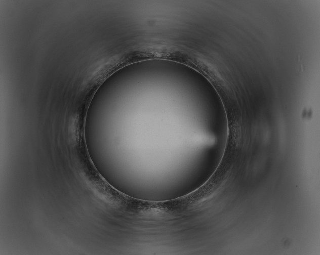 X0000091660594200708231308