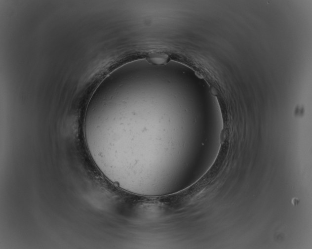 X0000091660595200708231308