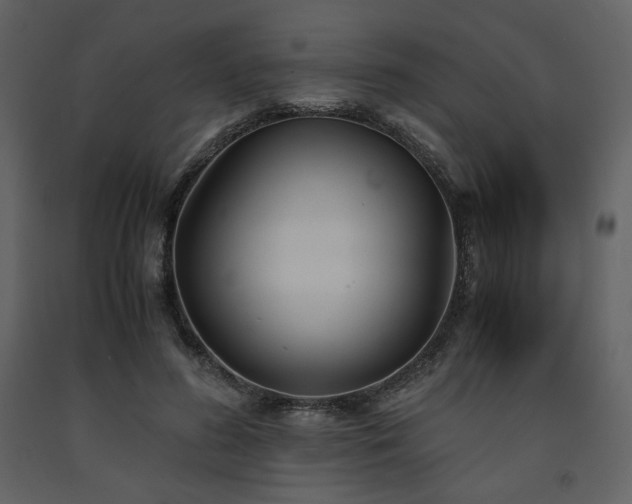 X0000091660596200708231308