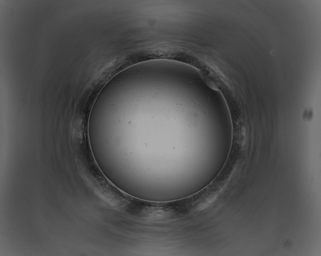 X0000091660597200708231308