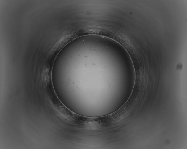 X0000091660598200708231308